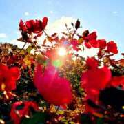 ヒメ日記 2025/12/12 16:18 投稿 キコ　興奮高まる最高の良い女 クラブA