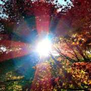 ヒメ日記 2025/12/17 20:06 投稿 キコ　興奮高まる最高の良い女 クラブA