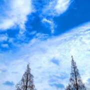 ヒメ日記 2025/12/27 12:03 投稿 キコ　興奮高まる最高の良い女 クラブA