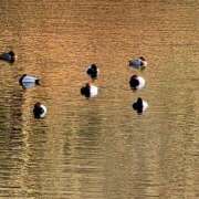 ヒメ日記 2026/01/08 17:18 投稿 キコ　興奮高まる最高の良い女 クラブA