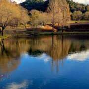 ヒメ日記 2026/01/16 17:18 投稿 キコ　興奮高まる最高の良い女 クラブA