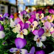 キコ　興奮高まる最高の良い女 予定です クラブA