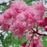 キコ　興奮高まる最高の良い女 月曜日 クラブA