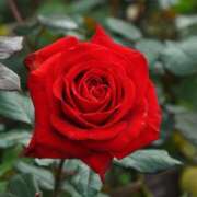 ヒメ日記 2025/05/29 13:01 投稿 なみ 奥様電車