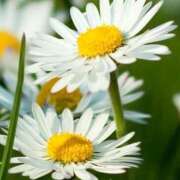 ヒメ日記 2025/06/03 19:39 投稿 なみ 奥様電車