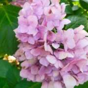 ヒメ日記 2025/06/30 13:50 投稿 なみ 奥様電車