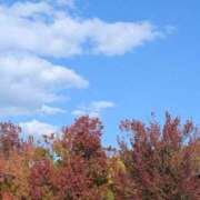 ヒメ日記 2025/11/20 21:30 投稿 なみ 奥様電車