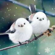 ヒメ日記 2025/12/03 19:00 投稿 なみ 奥様電車