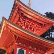 なみ 今日は 奥様電車