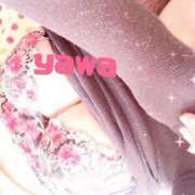 ヒメ日記 2025/09/08 02:44 投稿 地元産/やわ PREMIUMー萌ー