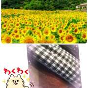 ヒメ日記 2025/07/15 09:16 投稿 ちかこ 完熟ばなな大宮