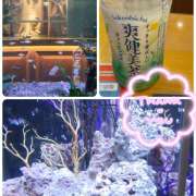 ヒメ日記 2025/08/21 00:16 投稿 ちかこ 完熟ばなな大宮