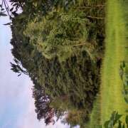 ヒメ日記 2025/09/10 15:11 投稿 ちかこ 完熟ばなな大宮