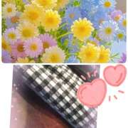 ヒメ日記 2025/09/14 07:52 投稿 ちかこ 完熟ばなな大宮