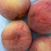 ヒメ日記 2025/06/16 00:21 投稿 さな One More 奥様　錦糸町店