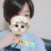 ヒメ日記 2025/06/11 06:01 投稿 いんぱ ドM女学園大阪