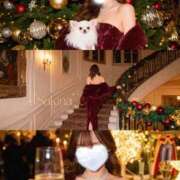 ヒメ日記 2025/12/12 15:24 投稿 Sakina THE MUSE