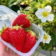 ヒメ日記 2026/03/04 22:14 投稿 Sakina THE MUSE