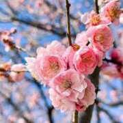 ヒメ日記 2026/03/07 10:54 投稿 Sakina THE MUSE