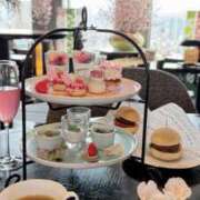 ヒメ日記 2026/03/15 20:24 投稿 Sakina THE MUSE