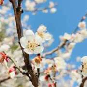 ヒメ日記 2026/03/21 23:34 投稿 Sakina THE MUSE