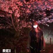 ヒメ日記 2026/04/13 13:40 投稿 れい 新感覚恋活ソープもしも彼女が○○だったら・・・福岡中州本店