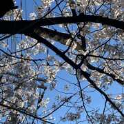 ヒメ日記 2026/04/03 22:07 投稿 あやね ハピネス東京