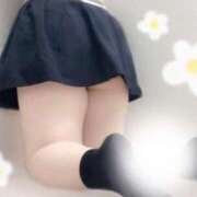 ヒメ日記 2025/06/13 02:31 投稿 ましろ 長野飯田ちゃんこ