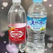 ヒメ日記 2025/06/15 19:31 投稿 ましろ 長野飯田ちゃんこ