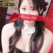 ヒメ日記 2025/06/22 10:33 投稿 ユヅキ【初めてづくしの癒し天使】 ドＭなバニーちゃん小倉店