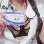 ねね いるよ〜 横浜しこたまクリニック