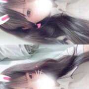 ヒメ日記 2026/03/30 19:13 投稿 ねね 横浜しこたまクリニック