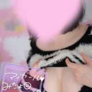 ヒメ日記 2025/11/17 00:36 投稿 つつじ【FG系列】 マダムFG柏本店