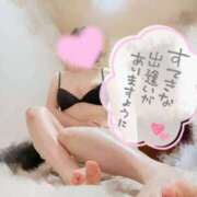 ヒメ日記 2025/11/19 15:57 投稿 つつじ【FG系列】 マダムFG柏本店