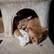 ヒメ日記 2025/12/02 09:06 投稿 萌海（もえか） 女々艶 大和店