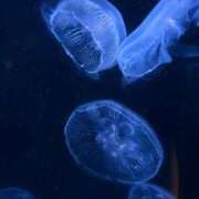 ヒメ日記 2025/06/19 12:28 投稿 あん 川崎人妻城