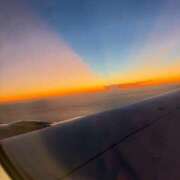 ヒメ日記 2025/07/29 17:01 投稿 アマネ【天使×可愛い＝最高】 ドＭなバニーちゃん小倉店