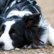 姫咲 七海 好きなんだよねー❤️ 30代40代50代と遊ぶなら博多人妻専科24時