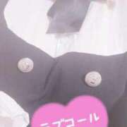 ヒメ日記 2025/06/10 14:07 投稿 みや ふわふわコレクション