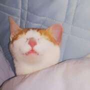 ヒメ日記 2025/06/05 10:24 投稿 百合亜 東京人妻フォーシーズンズ