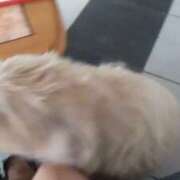 ヒメ日記 2025/06/06 22:44 投稿 百合亜 東京人妻フォーシーズンズ