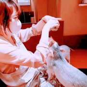 ヒメ日記 2025/06/17 21:31 投稿 百合亜 東京人妻フォーシーズンズ