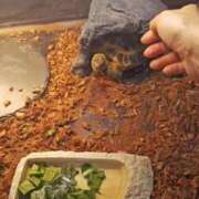 ヒメ日記 2025/06/23 12:06 投稿 百合亜 東京人妻フォーシーズンズ