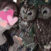 ヒメ日記 2025/06/23 12:34 投稿 百合亜 東京人妻フォーシーズンズ