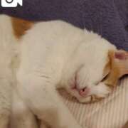 ヒメ日記 2025/07/05 12:06 投稿 百合亜 東京人妻フォーシーズンズ