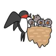 ヒメ日記 2025/06/07 12:22 投稿 みやび 宮城多賀城ちゃんこ