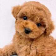 ヒメ日記 2025/06/14 07:42 投稿 みやび 宮城多賀城ちゃんこ