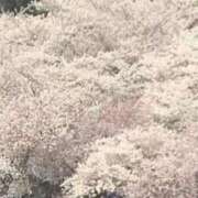 ヒメ日記 2026/04/21 06:42 投稿 みやび 宮城多賀城ちゃんこ