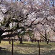 ヒメ日記 2026/04/26 17:42 投稿 みやび 宮城多賀城ちゃんこ
