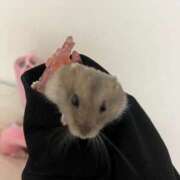 ヒメ日記 2025/06/04 08:05 投稿 りずむ アイドルソープ　萌えっ娘学園